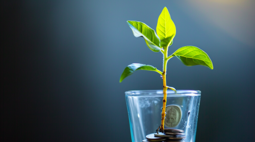 Plant Growing from Dollar Coin in Glass - Stock Photo