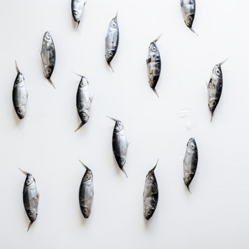 Hyperrealistic fish pattern wall hanging