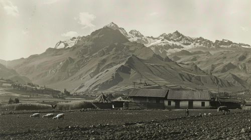 Rural Andes Scene Farmers Llamas Rural Andes Scene Farmers Llamas