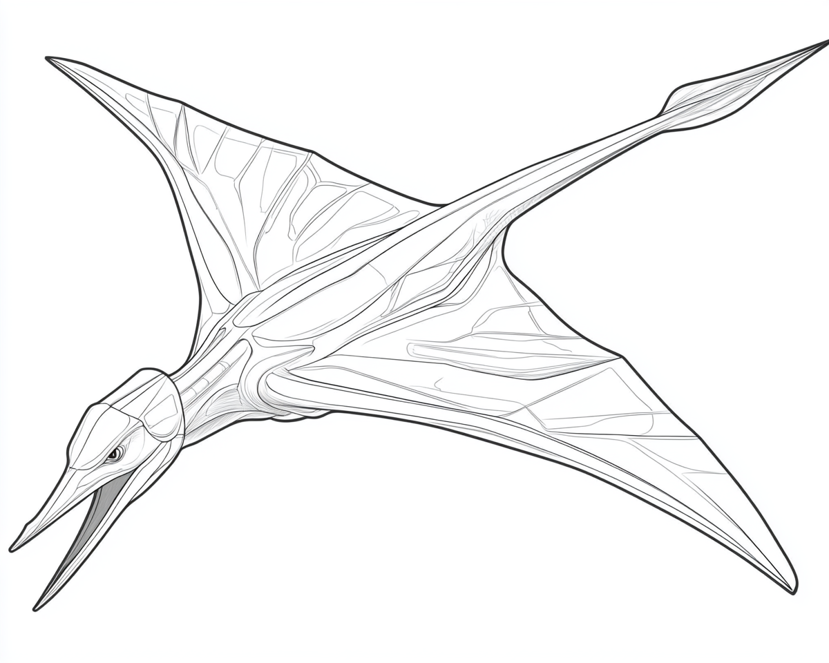 Coloring page of a pterodactyl dinosaur for kids.