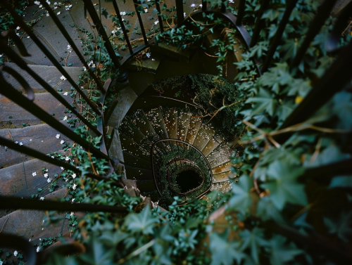 A Nostalgic Spiral Staircase Under Summer Foliage