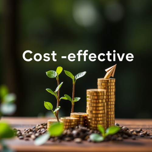 A Smart and Budget-Friendly Investment