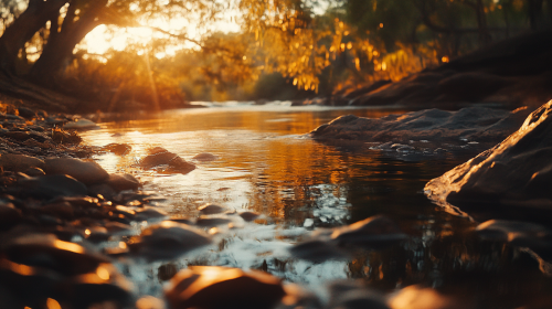 A beautiful photo showing Kakadu National Park nature