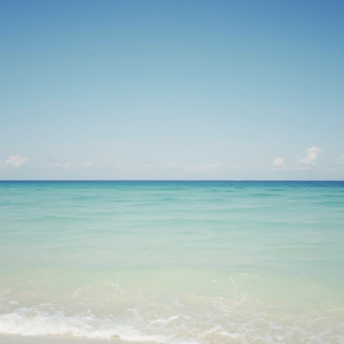 A colorful fish in the ocean.