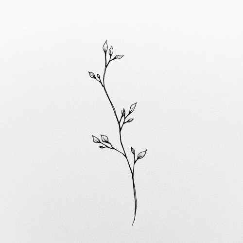 A delicate branch with three tiny leaves.