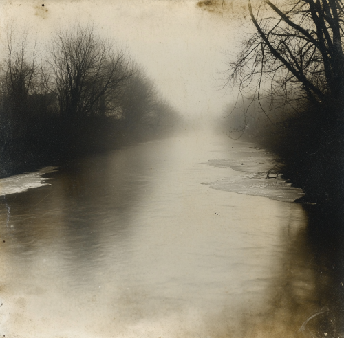 A misty morning by the river in photo
