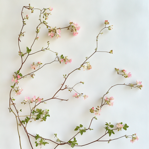 Beautiful pink flower vine on white background