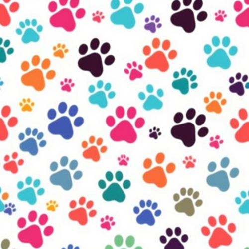 Colorful Paw Prints on a Transparent Background
