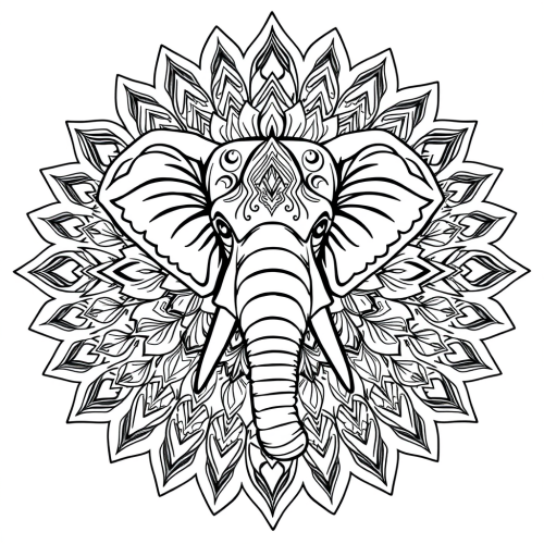 Coloring sheet of symmetrical mandala elephant on white