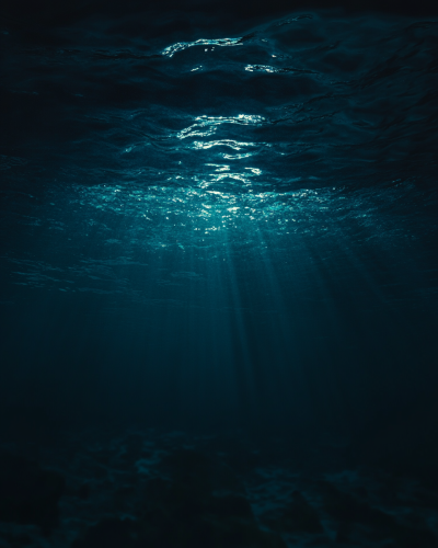 Dark cinematic night in deep black ocean depths. Dark cinematic night in deep black ocean depths.