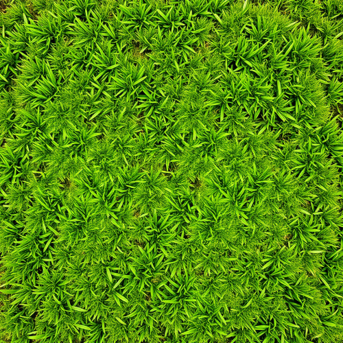 Hand-Painted Grass and Ground for Game Hand-Painted Grass and Ground for Game