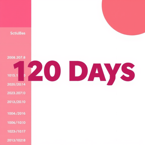 The 120 Day Project Schedule