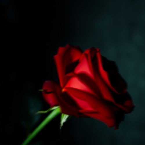 The Blurry Griffin and Red Rose in Film Noir