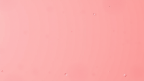 The Development of Human Consciousness Cover