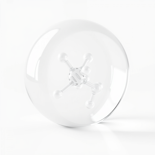 The Modern 3D Glass Model of Lactic Acid