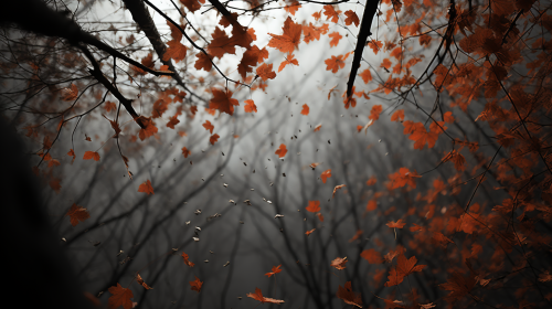 Asheville Fall Leaves Abstract Mirage