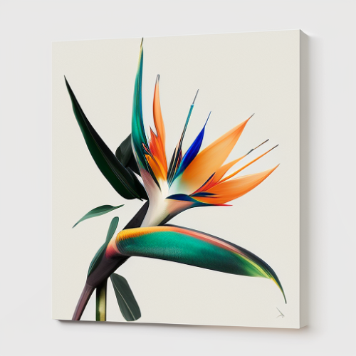 Bird of Paradise Flower in France