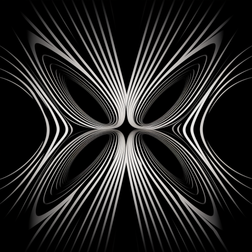 Intricate black and white lines artwork