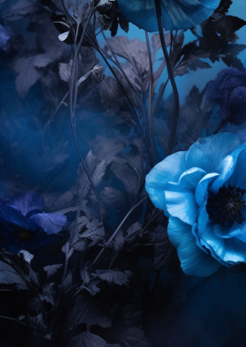 Blue Luminous Frame with Flowers