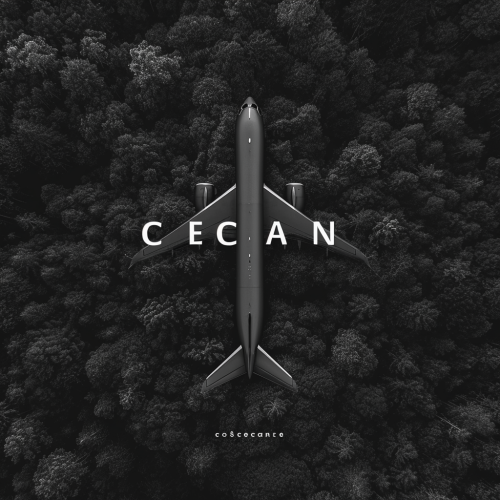 Cecane Logo in Black and White