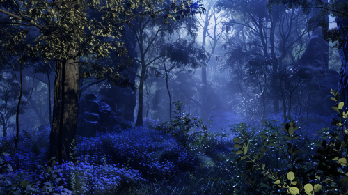 Dark forest with blue tones