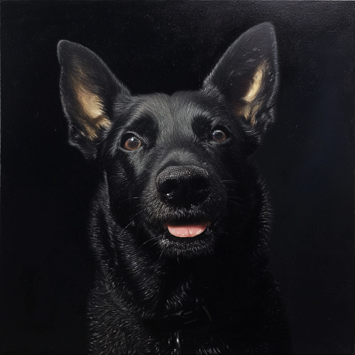 Dog playing fetch with toy