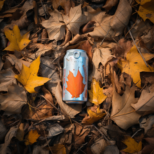 Fall leaves and hidden aluminium can on forest floor