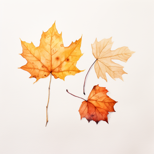 Colorful fall leaves on white