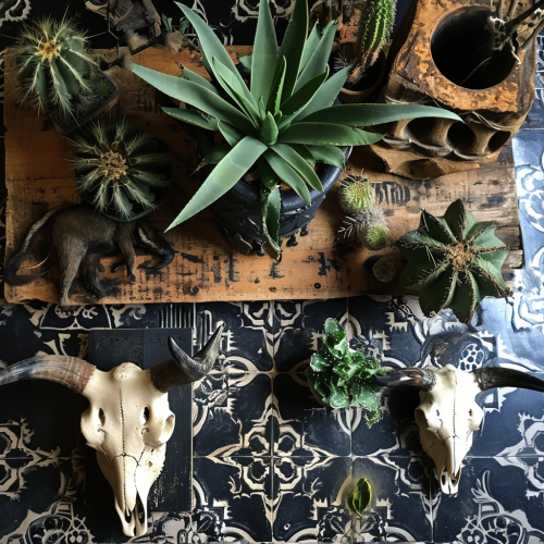 Goth Southwest Interior Mood Board