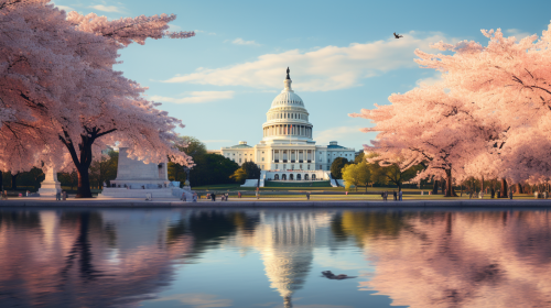 Stunning Crystalline Lumen Reflections in Washington DC