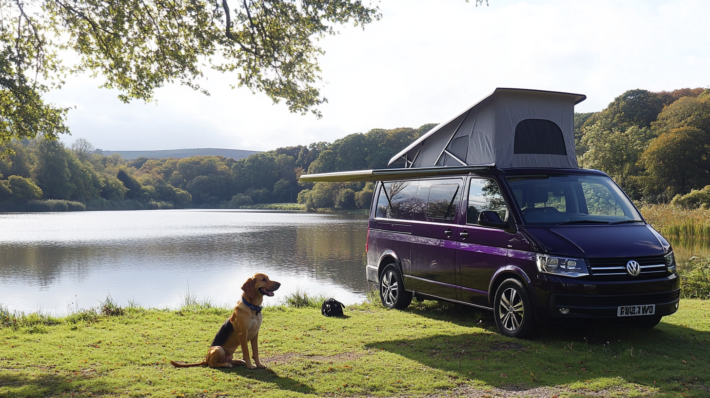 Dark Purple Blackberry Metallic Camper Van with Dogs