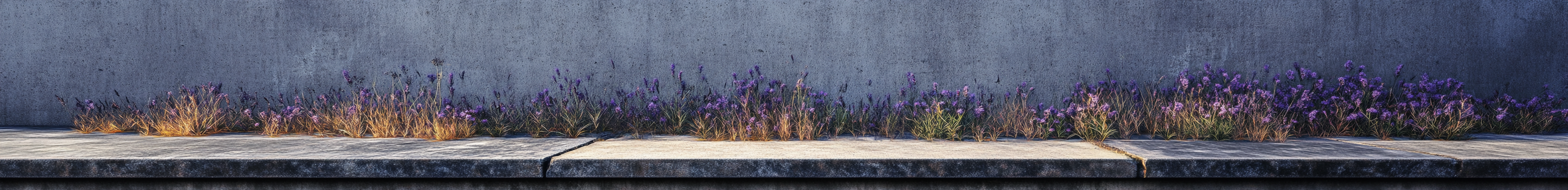 Grass growing in building foundation, modern brutalism. Noir style.