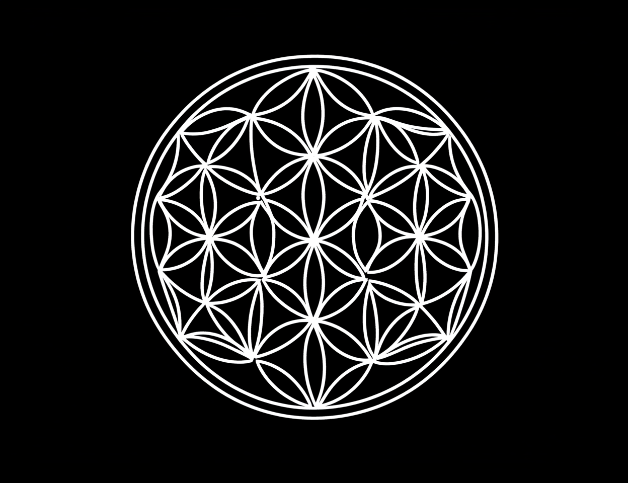 Sacred geometry flower drawing with symmetrical clean design.