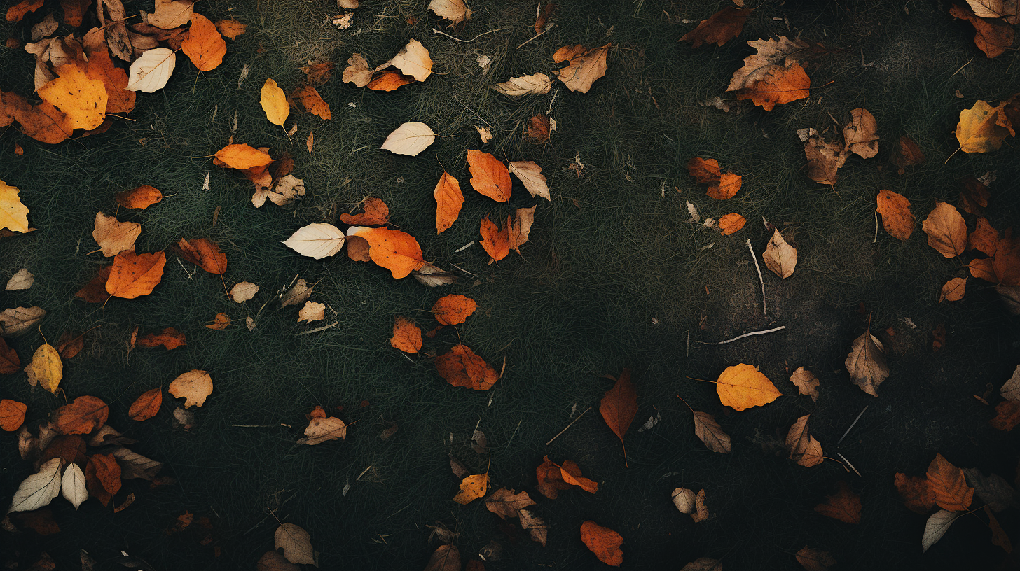 Autumn leaves on grass background