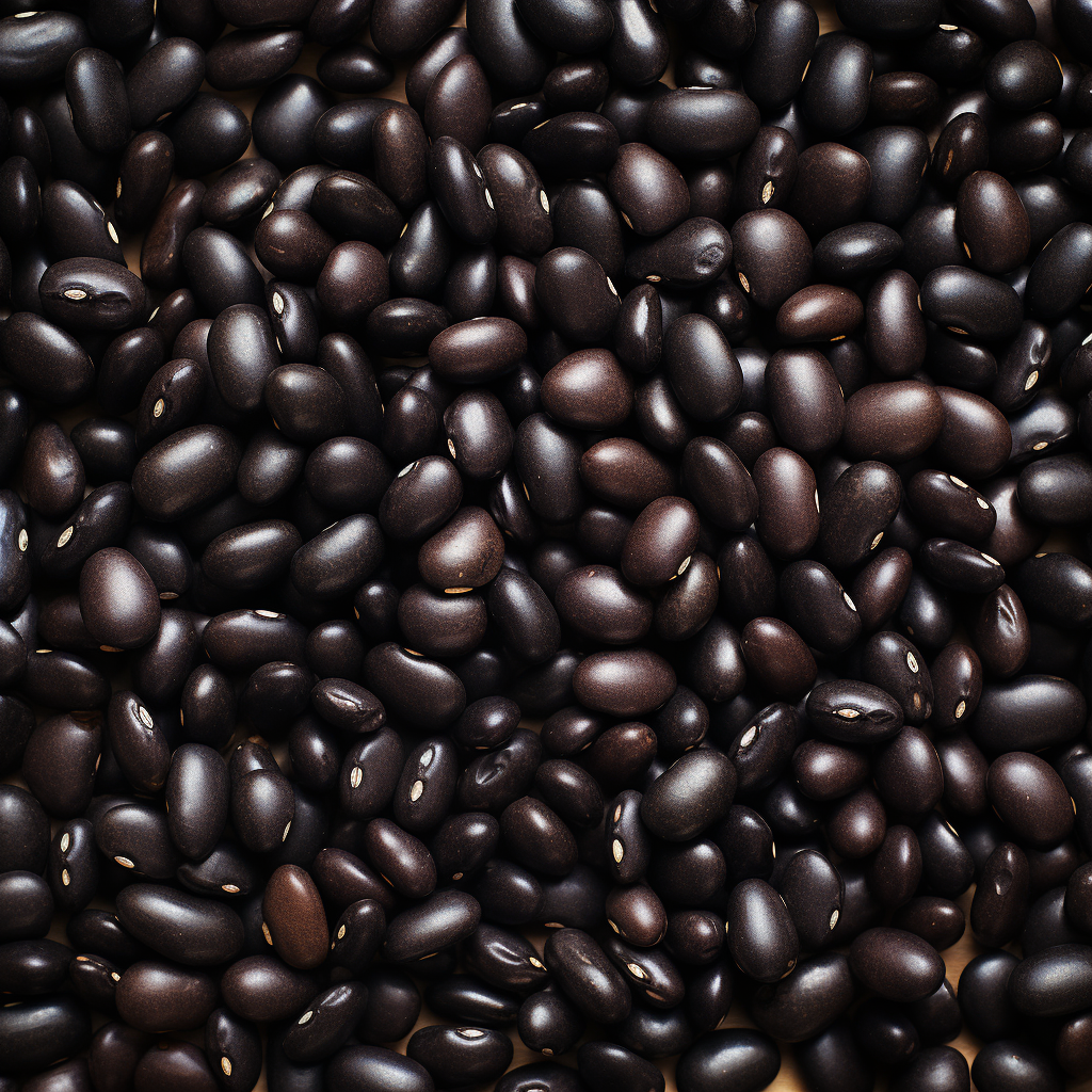 Black Beans Top View Image