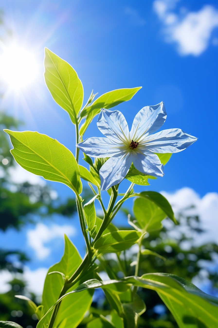 Vibrant blue flower with sunlit leaves