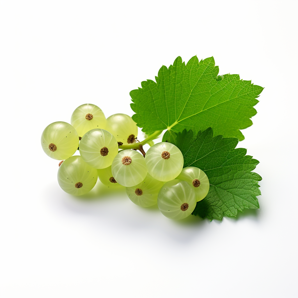 Fresh currant on a white background