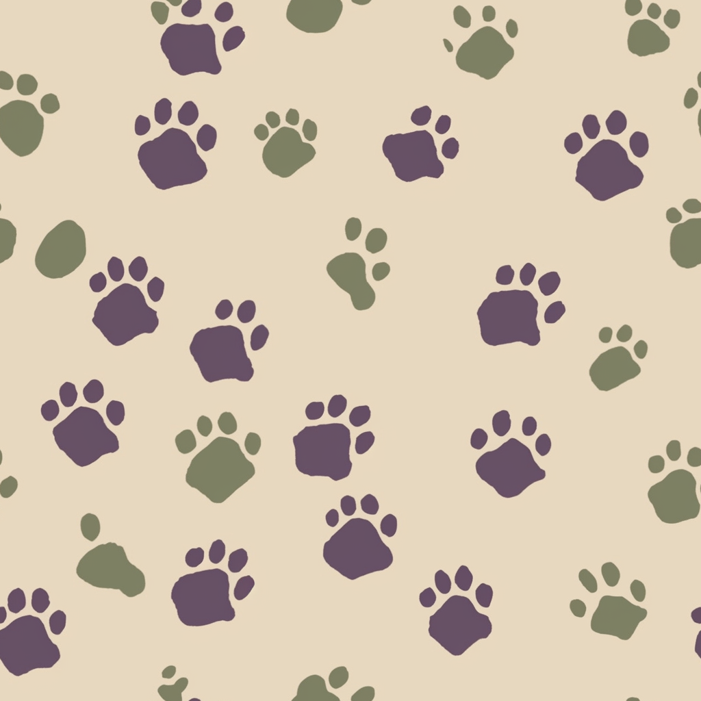 Colorful dog paw prints on beige background