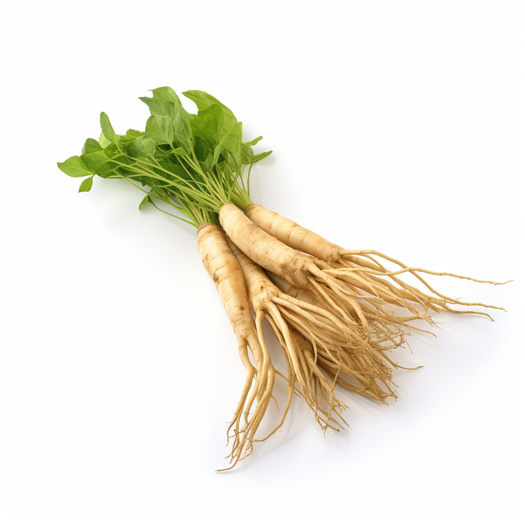 Fresh Ginseng on White Background