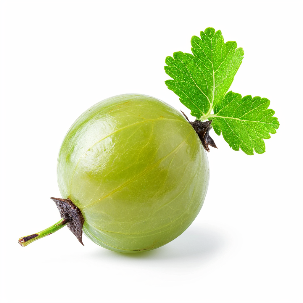 Gooseberry on white background