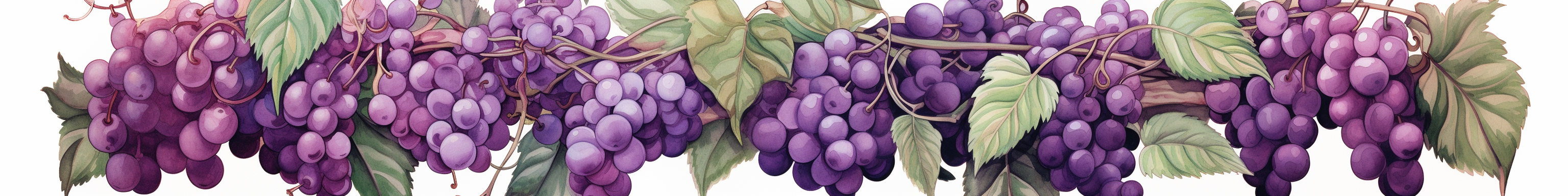 Grape leaves in violet and lilac