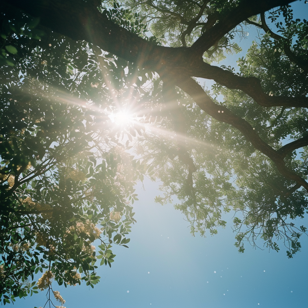 Low Angle Sunlight Captured beautifully