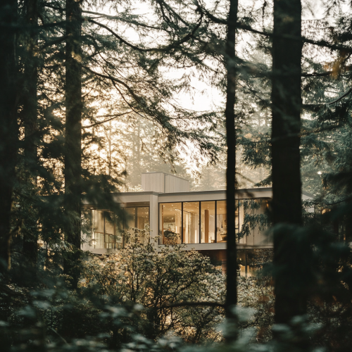 A Modern Home in North Vancouver Amid Cedar Trees