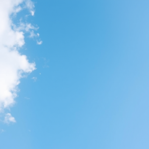 A Sky Filled with Light Blue Wonders