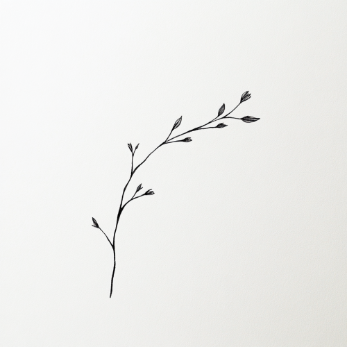 A delicate branch with three tiny leaves.