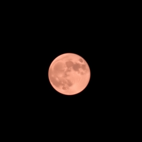 A pink moon shines in the dark night.