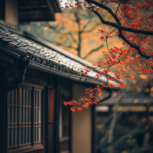 A traditional Japanese engawa on a cool day.