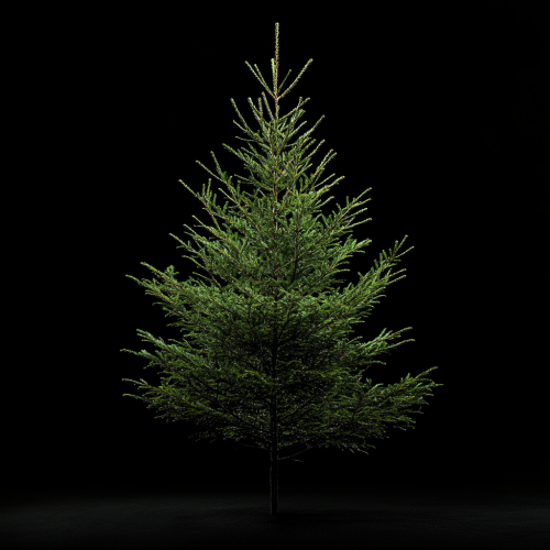 A vibrant Christmas tree with natural lighting