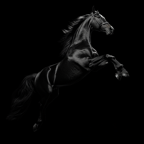 Black horse jumping in studio, hyperrealistic 32k UHD.