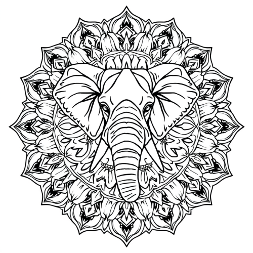 Coloring sheet of symmetrical mandala elephant on white